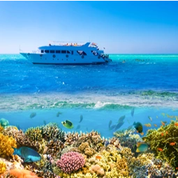 White Island Snorkeling Boat Trip from Sharm El Sheikh